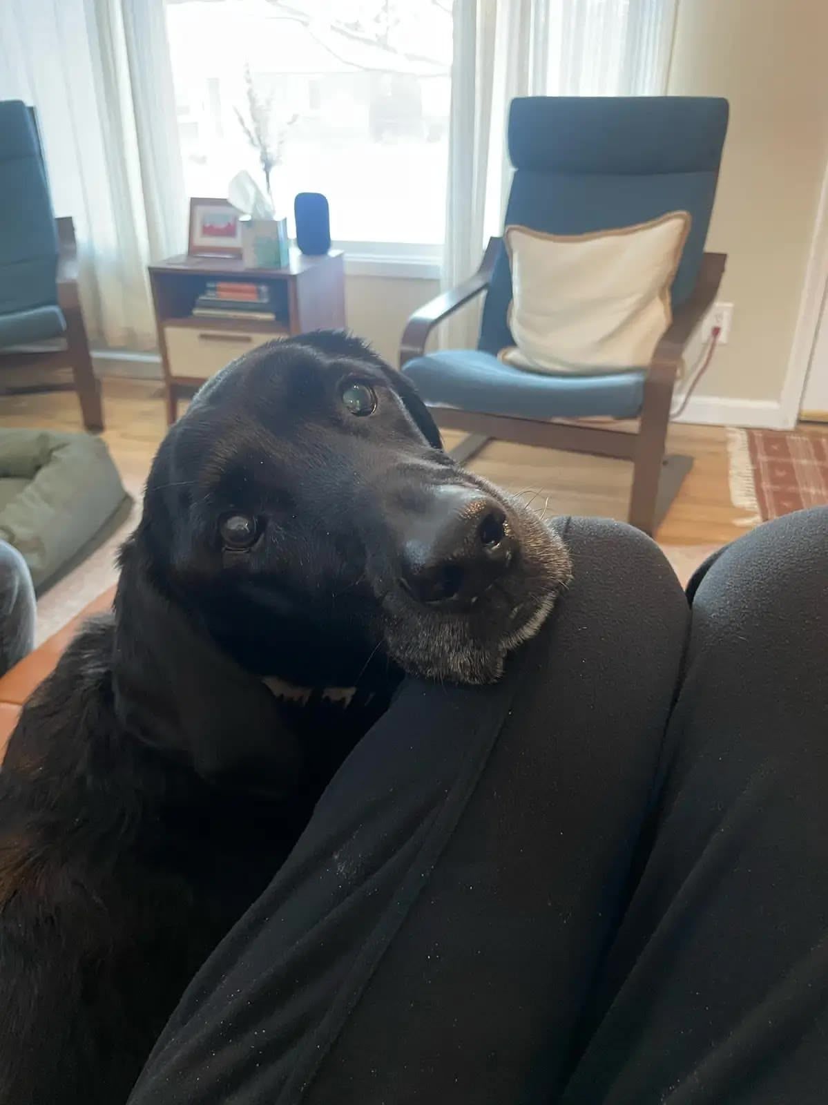 Ellie looking at Kellie