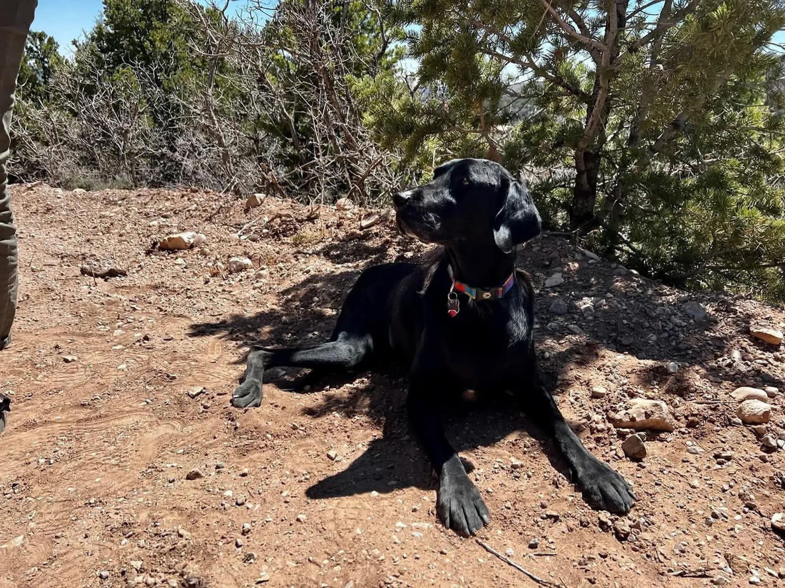 Ellie passed out in the car