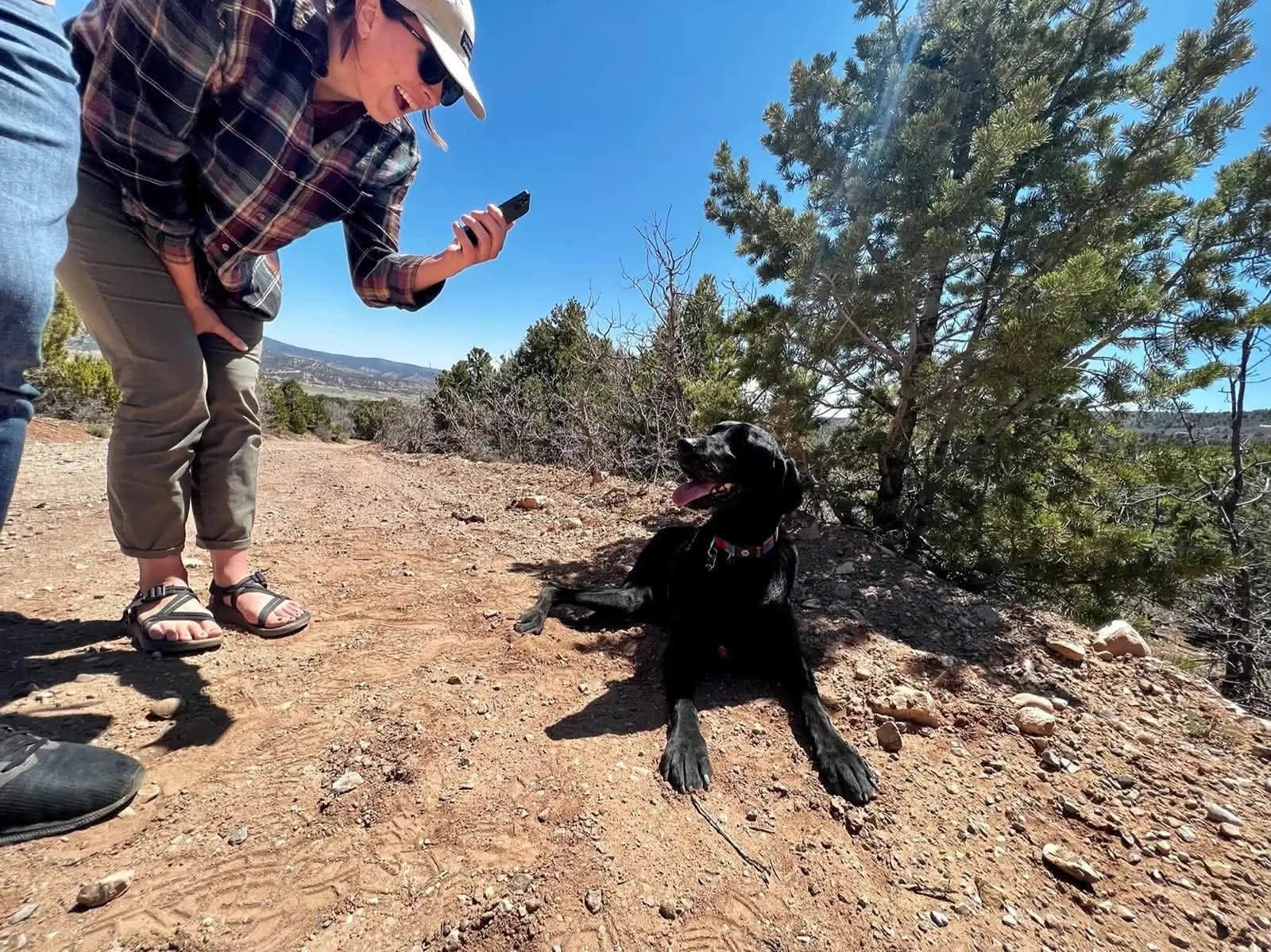 Ellie waiting for her ball to be thrown at the beach