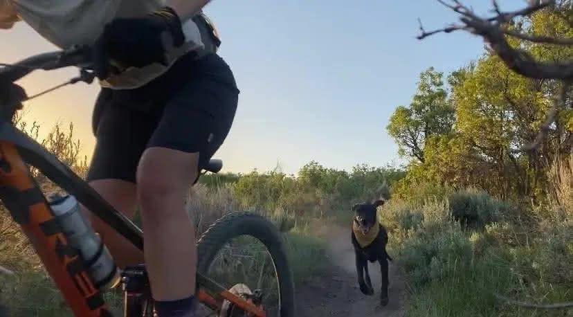 Ellie playing in the ocean